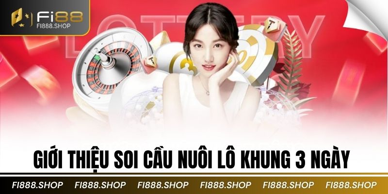 Giới thiệu soi cầu nuôi lô khung 3 ngày 