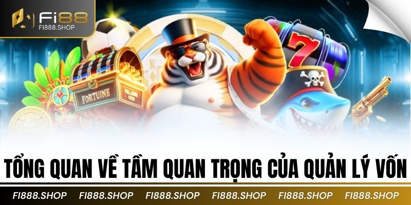 Tổng quan về tầm quan trọng của quản lý vốn